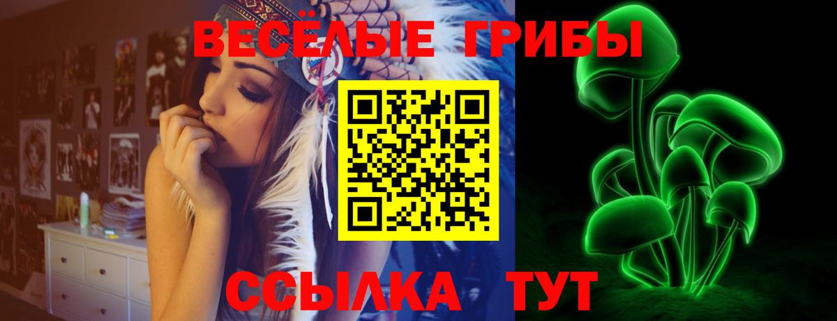 Галлюциногенные грибы Psilocybe  Вход с VPN  Россия 